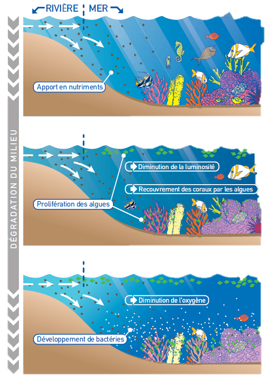 Cliquer sur le schéma pour l'agrandir