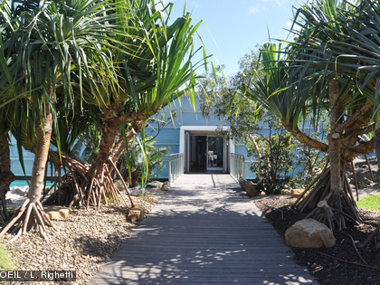 L'Aquarium des Lagons compte, depuis juillet 2013, un nouvel espace herbier.