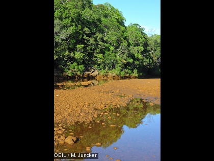 Mission terrain du 8 mai 2014 suite à l'acidification du creek de la Baie Nord L'OEIL a été informé le 7 mai 2014 d’une acidification du creek de la baie Nord, situé en aval du site industriel et minier de Vale NC.