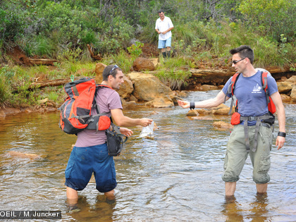 Mission terrain du 8 mai 2014 suite à l'acidification du creek de la Baie Nord Depuis la zone située juste en amont de l’estuaire jusqu’à une station proche du site industrielle, des organismes, vertébrés et invertébrés ont été retrouvés morts.