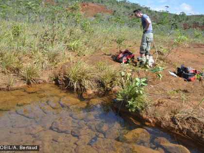 Mission terrain du 8 mai 2014 suite à l'acidification du creek de la Baie Nord Des analyses physico-chimiques ont été réalisées sur le creek.