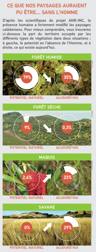 Cliquer sur l'image pour l'agrandir