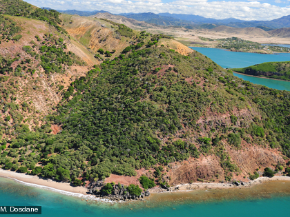 L'ilot Leprédour La forêt sèche est présente sur l'Ilot Leprédour mais elle est menacée par les cerfs et les lapins.