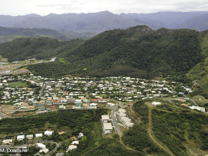 Forêt sèche du Pic aux aux Chèvres et du Pic aux Morts
