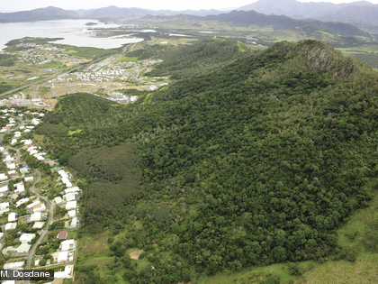 Forêt sèche du Pic aux Chèvres