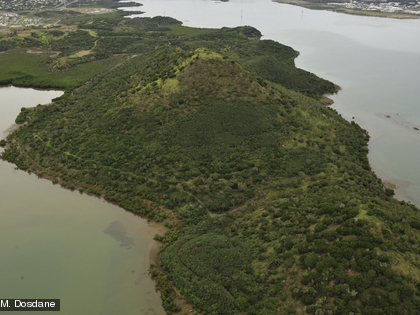 Forêt sèche du Pic aux Chèvres