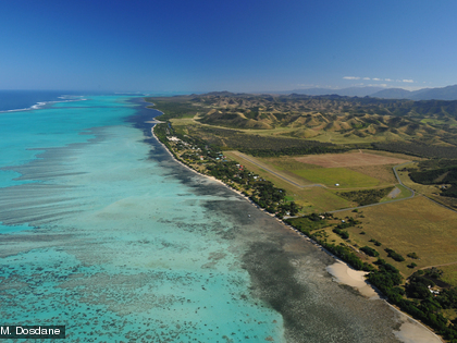 Herbier de Gouaro Deva Les herbiers se situent dans des zones proches de la côte et peu profondes.