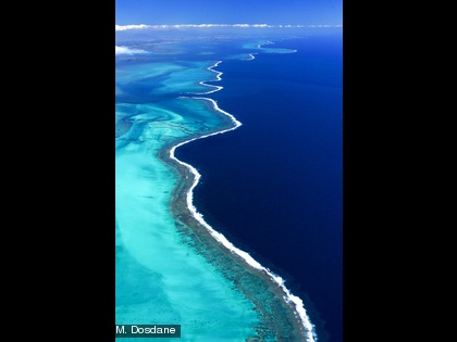 Barrière et lagon La Grande Terre est entourée par une barrière de corail de plus de 1 500 km de long.