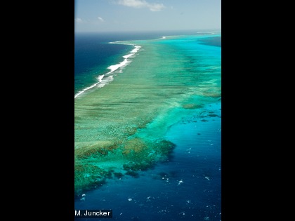 Lagon Le lagon abrite différents écosystèmes notamment les récifs coralliens, les herbiers et les îlots.