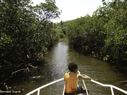 Un écosystème très riche La mangrove est un endroit privilégié de cueillette et de pêche pour les populations côtières.