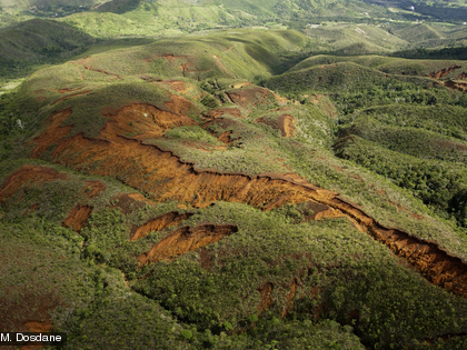 Maquis minier dans la région des Koghis En province Sud, le maquis minier couvrent 2 540 km².