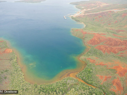 Des mortalités importantes de coquillages et coraux ont été observées en baie de Prony après le passage de la dépression Freda