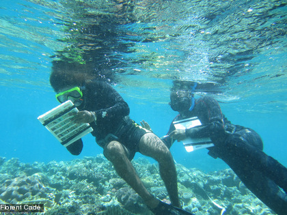 À l'eau pour une deuxième année de suivi à l'île des Pins Les bénévoles notent ensuite leurs observations sur leur fiche de résultats.