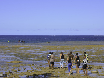 ACROPORA école 2015