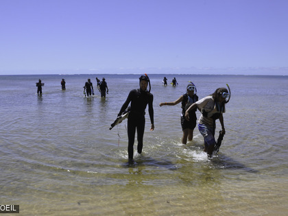 ACROPORA école 2015