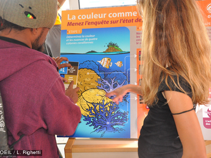 Merci à tous les participants! Soixante personnes se sont relayées sur le bateau pour apprendre à évaluer l'état de santé des coraux...