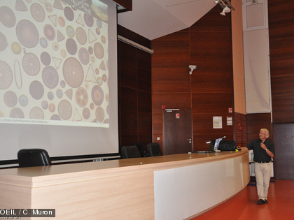 Nos rivières au microscope : les diatomées, nouvel indicateur de la qualité de nos cours d'eau Il existe une grande variété de diatomées de taille et de forme très différentes