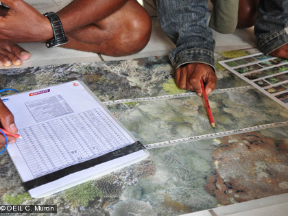 Les bénévoles s'entrainent à l'identification selon la méthode apprise par Sandrine