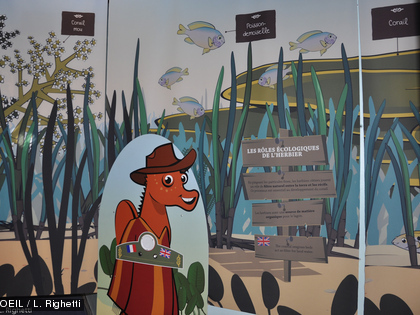 Plongez à la découverte de l'herbier à l'Aquarium des Lagons ...où l'on rencontre coraux et poissons...