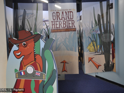 Plongez à la découverte de l'herbier à l'Aquarium des Lagons L'Aquarium des Lagons vous invite ensuite à explorer ce milieu naturel particulier pendant la traversée du grand herbier.