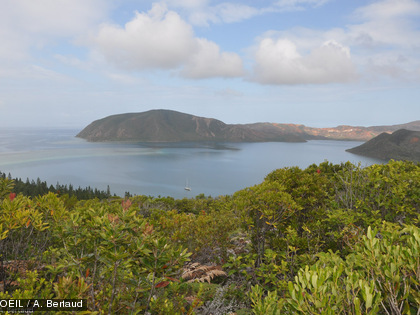 La fête de la baleine 2014 à l'île Ouen Etaient aussi organisées des balades à travers les sentiers de l'île.